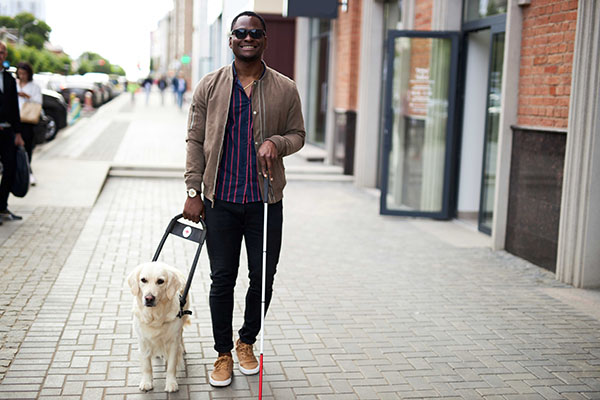 Blind man walking on the sidewalk with guide dog